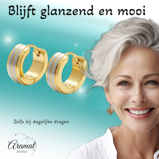 Oorringen – RVS Bicolor Mat Zilver/Goud (13x5mm) - Aramat Jewels - Oorringen - cadeautip
