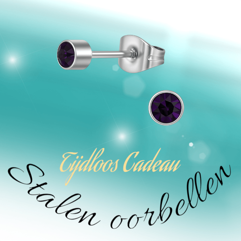 Amethist paarse kristal oorstekers – 4mm RVS - Aramat Jewels - Oorbellen - cadeautip