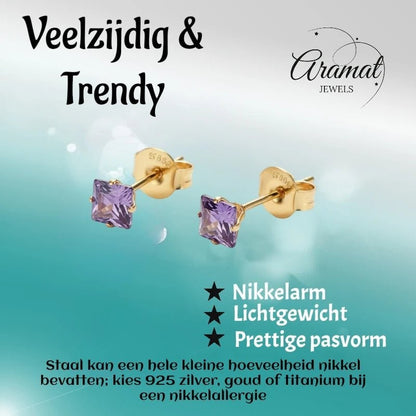Aramat Jewels goudkleurige oorbellen met 4mm vierkante paarse zirkonia, gemaakt van RVS.