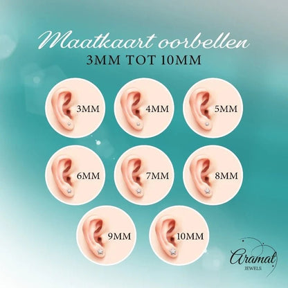 Aramat Jewels oorstekers van 8mm met bruin kristal, gemaakt van zilverkleurig staal.