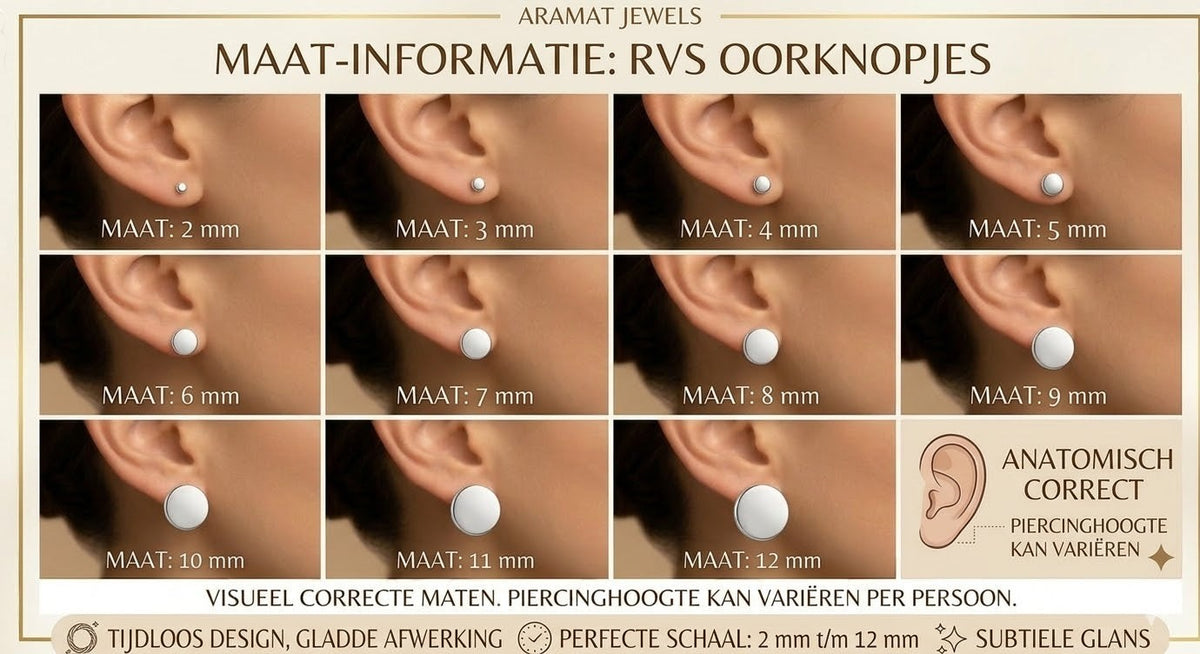 Aramat Jewels zilverkleurige oorstekers met een 8mm zwart kristal, gemaakt van roestvrij staal.
