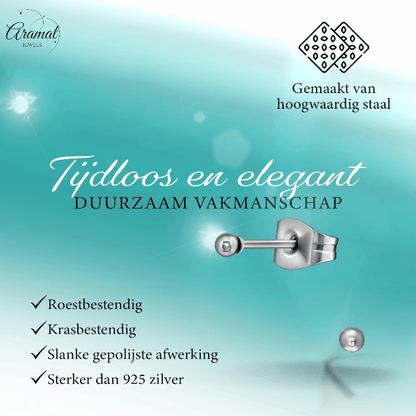 Bolletjes oorbellen – zilverkleur – 2mm - oor2742 - XE2224 - Oorbellen kopen# - 2mm - alles - bolletjes