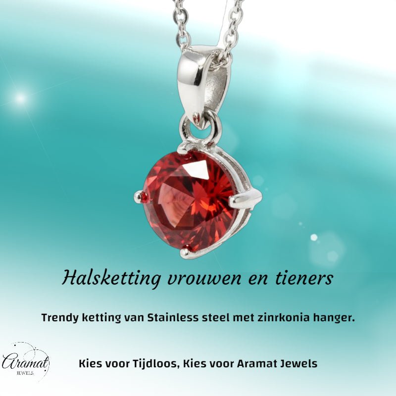 Elegante Rvs Zirkonia Hanger - Aramat Jewels - Bedelketting - cadeautip