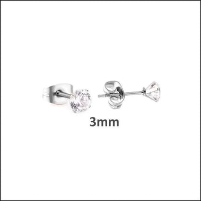 Een paar zilveren oorbellen met een diamant aan elk oor