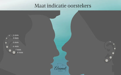 Goudkleurige Zirkonia Oorbellen 5mm Lila - Aramat Jewels - Oorbellen - cadeautip