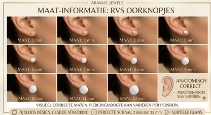 Zilveren Druppelvormige Oorbellen