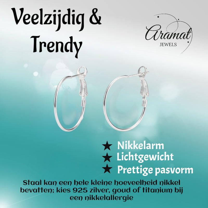 Metalen Oorringen Zilverkleurig 25mm Klapscharnier - Aramat Jewels - Oorbellen - cadeautip