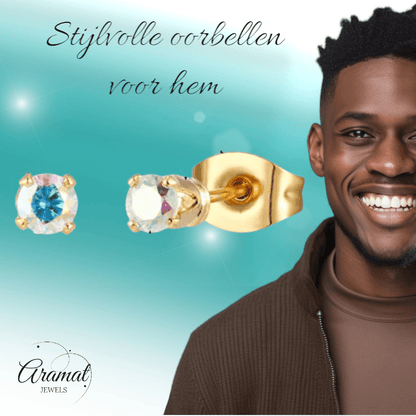 Mini oorbellen met AB zirkonia – 2 mm - oor5015 - Oorbellen kopen# - 2mm - AB - AB Transparant