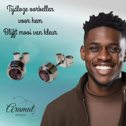 Oorbellen – Staal Licht Paarse Kristal (6mm) - Aramat Jewels - Oorbellen - cadeautip