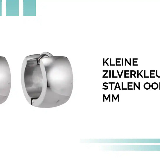 kleine Zilverkleurige stalen oorringen 13 mm by@Outfy