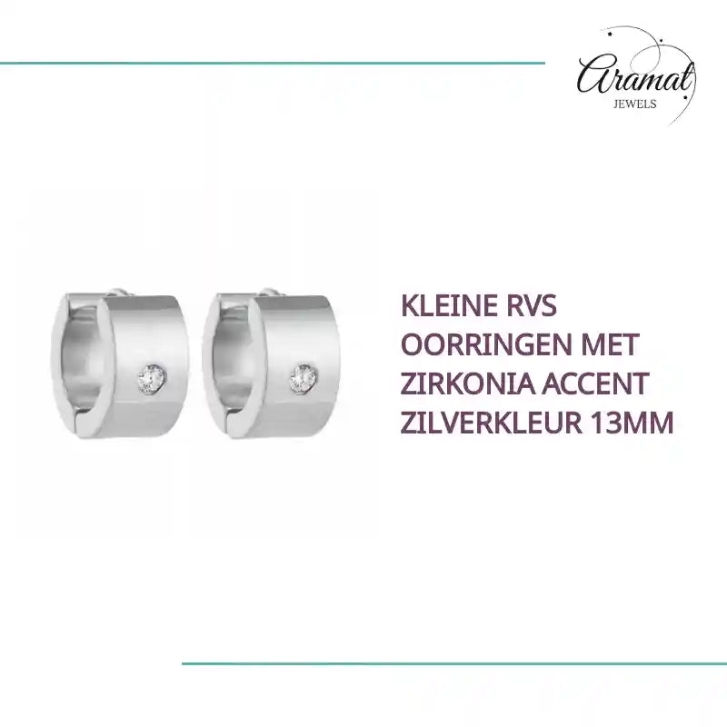 Kleine RVS Oorringen met Zirkonia Accent Zilverkleur 13mm by@Outfy