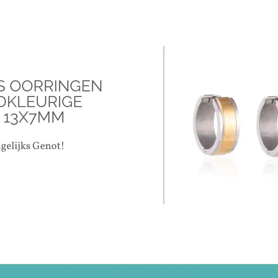 Bicolor RVS Oorringen met Goudkleurige Streep 13x7mm by@Outfy
