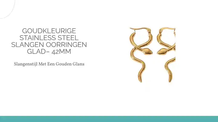 Goudkleurige stainless steel slangen oorringen glad&ndash; 42mm by@Outfy