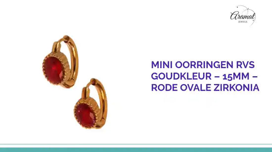 Mini Oorringen RVS Goudkleur &ndash; 15mm &ndash; Rode Ovale Zirkonia by@Outfy