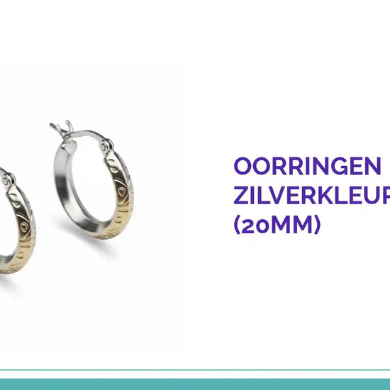 Oorringen &ndash; RVS Mat Zilverkleur Fantasie (20mm) by@Outfy
