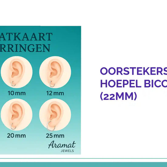 Oorstekers &ndash; Staal Hoepel Bicolor Mat (22mm) by@Outfy