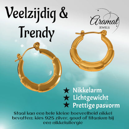 Ronde Oorringen 24x23mm – Goudkleurig RVS – Kleine Hoops - oor6349 - 840144 - Oorringen kopen# - 24mm - alles - cadeau