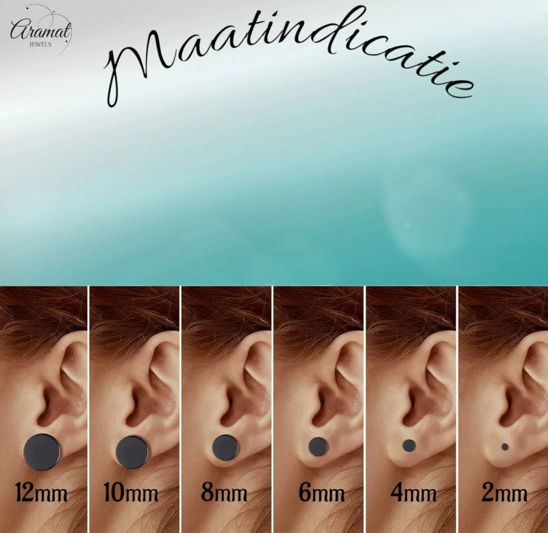 Ronde Zwarte Oorknopjes 5mm – RVS - oor3153 - Oorbellen kopen# - 5mm - alles - cadeau