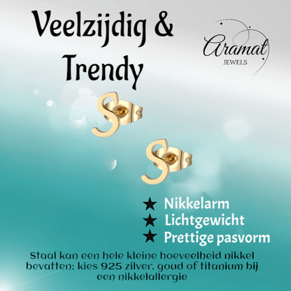 RVS Oorbellen Letter S – Goudkleurig – 10 mm - Aramat Jewels - Oorbellen - cadeautip