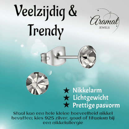 Stalen Kristal Oorbellen met Black Diamond steentje – Zilverkleur – 5mm - Aramat Jewels - Oorbellen - cadeautip