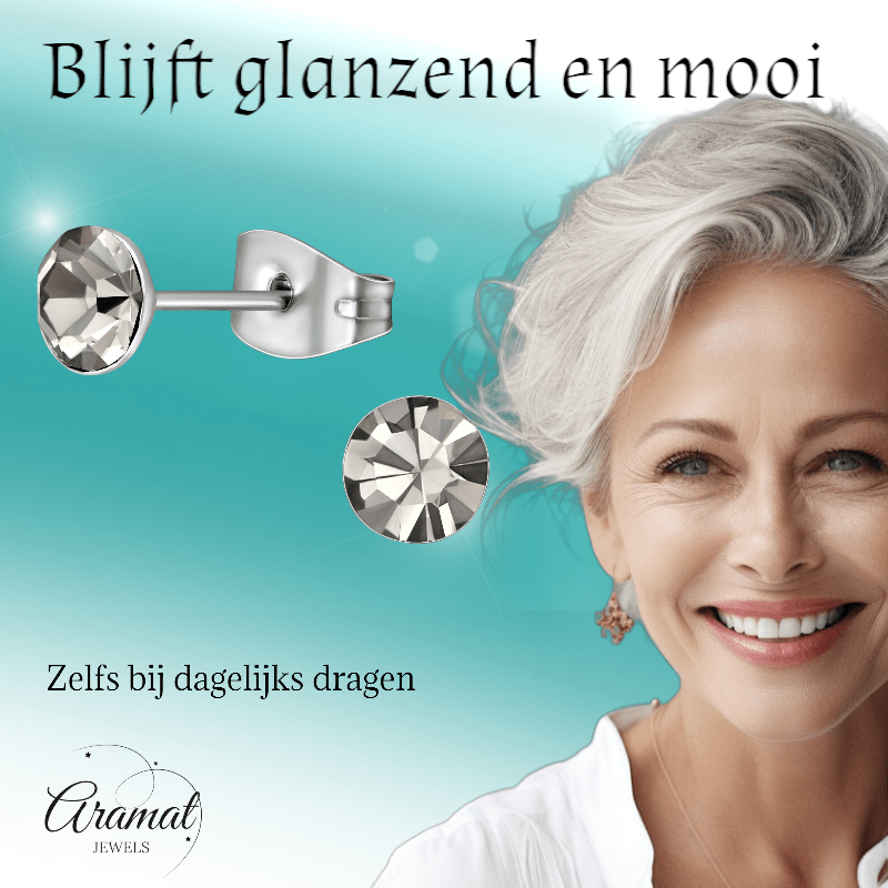 Stalen Kristal Oorbellen met Black Diamond steentje – Zilverkleur – 5mm - Aramat Jewels - Oorbellen - cadeautip