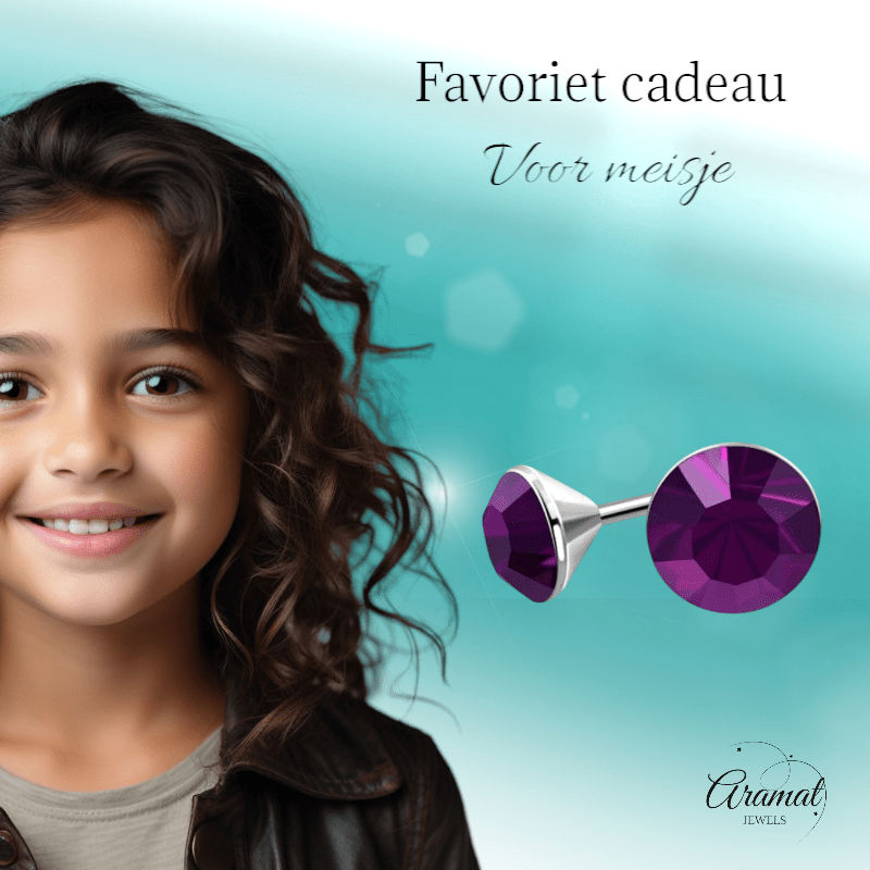 Stalen Kristal Oorbellen met paars steentje – Zilverkleur – 3mm - Aramat Jewels - Oorbellen - cadeautip