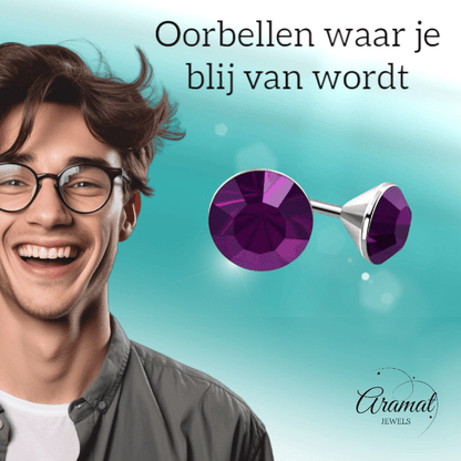 Stalen Kristal Oorbellen met paars steentje – Zilverkleur – 3mm - Aramat Jewels - Oorbellen - cadeautip