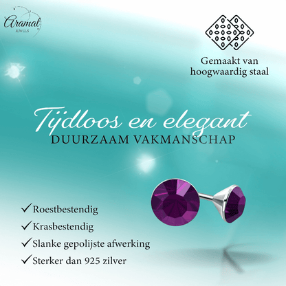 Stalen Kristal Oorbellen met paars steentje – Zilverkleur – 3mm - Aramat Jewels - Oorbellen - cadeautip