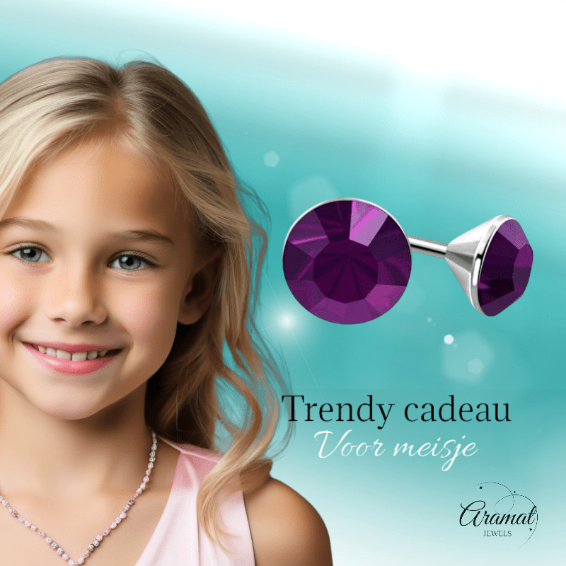 Stalen Kristal Oorbellen met paarse steentjes – Zilverkleur – 4mm - Aramat Jewels - Oorbellen - cadeautip