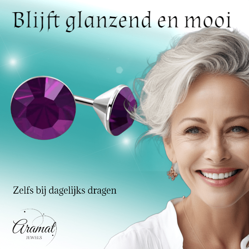 Stalen Kristal Oorbellen met paarse steentjes – Zilverkleur – 4mm - Aramat Jewels - Oorbellen - cadeautip