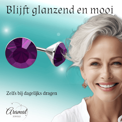 Stalen Kristal Oorbellen met paarse steentjes – Zilverkleur – 4mm - Aramat Jewels - Oorbellen - cadeautip
