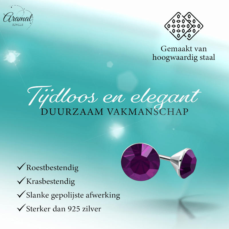 Stalen Kristal Oorbellen met paarse steentjes – Zilverkleur – 4mm - Aramat Jewels - Oorbellen - cadeautip