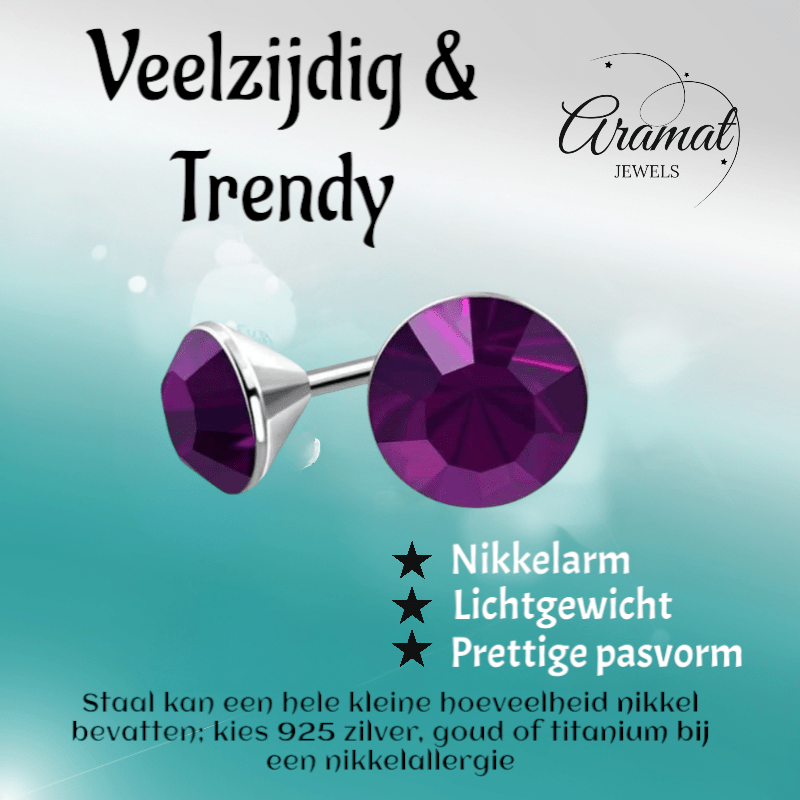 Stalen Kristal Oorbellen met paarse steentjes – Zilverkleur – 4mm - Aramat Jewels - Oorbellen - cadeautip