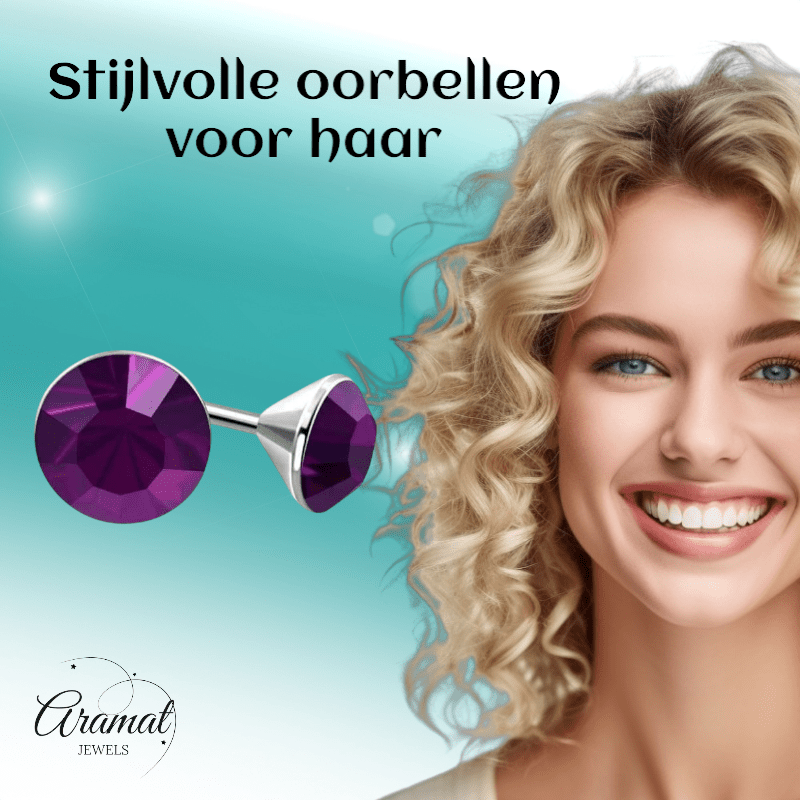 Stalen Kristal Oorbellen met paarse steentjes – Zilverkleur – 4mm - Aramat Jewels - Oorbellen - cadeautip