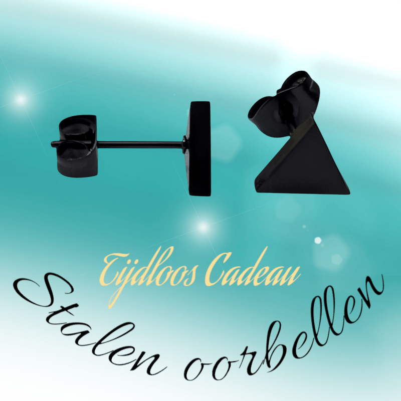 Stalen Oorbellen Driehoek Zwart – 8mm - Aramat Jewels - Oorbellen - cadeautip