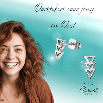 Stalen Pijltjes Oorbellen Zilverkleur 9x5mm - oor3318 - 29800 - Oorbellen kopen# - 9mm - alles - cadeau