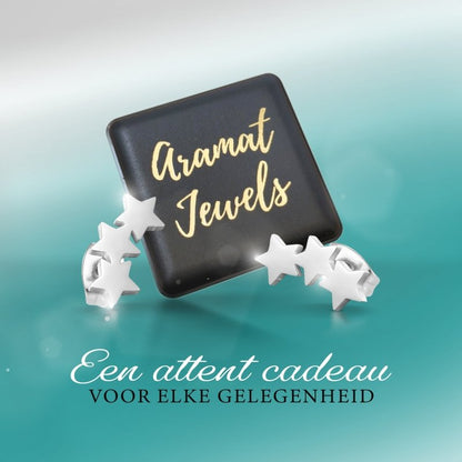 Stalen Zilverkleurige Sterren Oorbellen - Tijdloos Cadeau - oor3203 - SSE113 - Oorbellen kopen