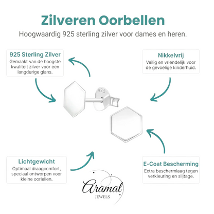 Stijlvolle Zilveren Oorbellen - Aramat Jewels® - Aramat Jewels - Oorbellen - cadeautip