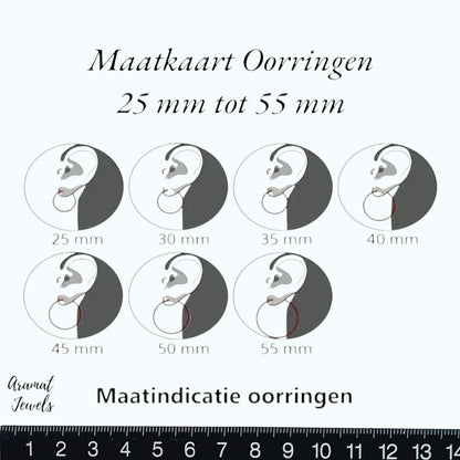 Trendy Goudkleurige Stalen hoepel Oorbellen - oor5828 - se46159 - Oorringen kopen