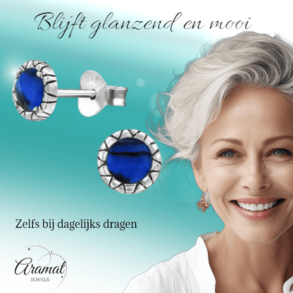 Zilveren Blauwe Abalone Oorbellen 5 mm - oor2885 - 30950 - Oorbellen kopen# - 5mm - 925 Zilver - Abalone