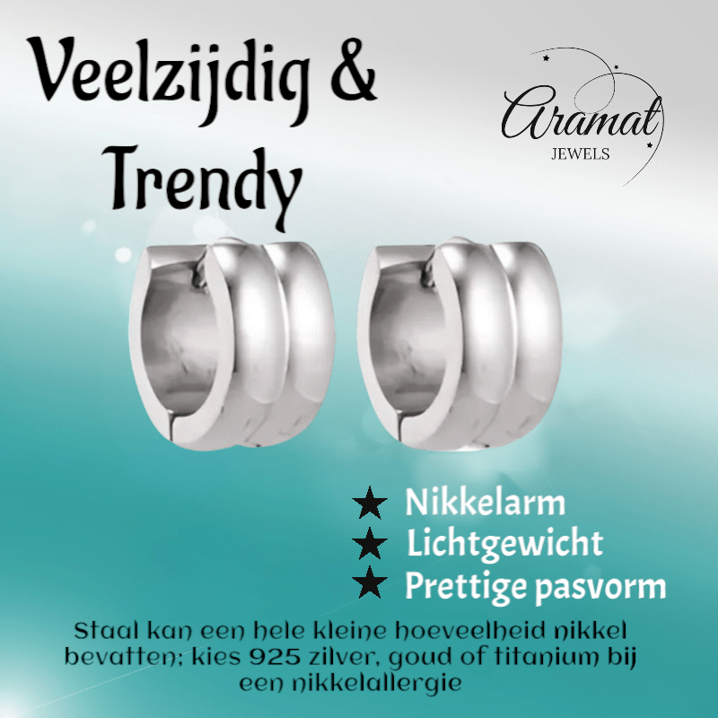 Zilverkleurige RVS Klapcreolen - 13 mm - oor5811 - se20006 - Oorringen kopen# - 13mm - alles - cadeau