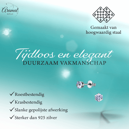 Zilverkleurige Zirkonia Oorbellen 4mm Lila - Aramat Jewels - Oorbellen - cadeautip