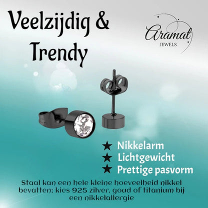 Zwarte Kristallen Oorbellen 5mm – Staal - oor3750 - Oorbellen kopen# - 5mm - alles